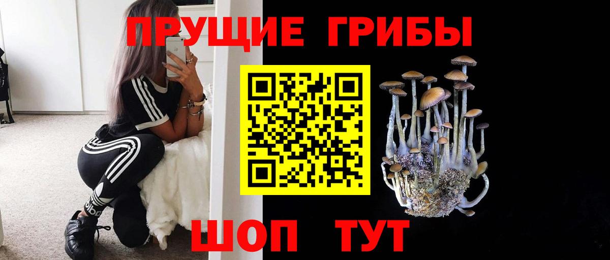 Красногорск  Галлюциногенные грибы мицелий  купить  цена  Вход с VPN  Галлюциногенные грибы Magic Shrooms 